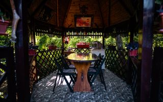 Casă de Vacanță Amenajată | Vălișoara DJ107M | Ciubăr · Foișor · BBQ | - Poză 10