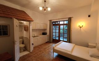 Garsoniera cu terasa proprie in vila interbelica | 20 mp + 16 mp terasa | Centru - Poză 3
