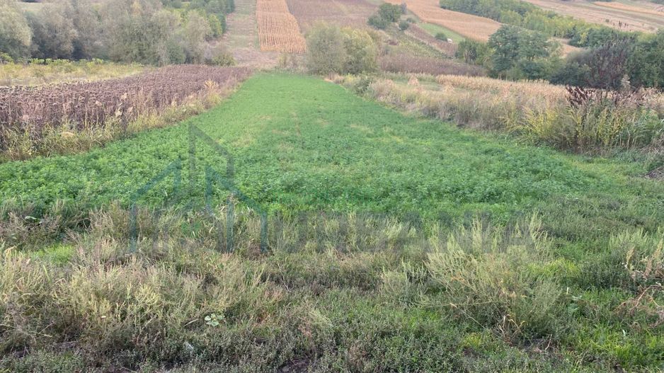 Teren intravilan de vânzare în Rusenii Noi, comuna Holboca, Iași - Poză 1