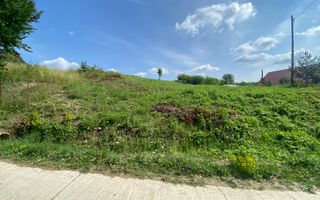 Teren Intravilan | 25 Ari | Voievodeasa - Poză 4