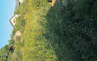 Casă de vânzare în Voinesti, Iași, cu garaj și grădină - Poză 9
