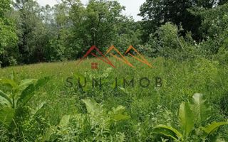 Teren 2500 mp, acces drum asfaltat, Bustenari, Telega Prahova - Poză 2