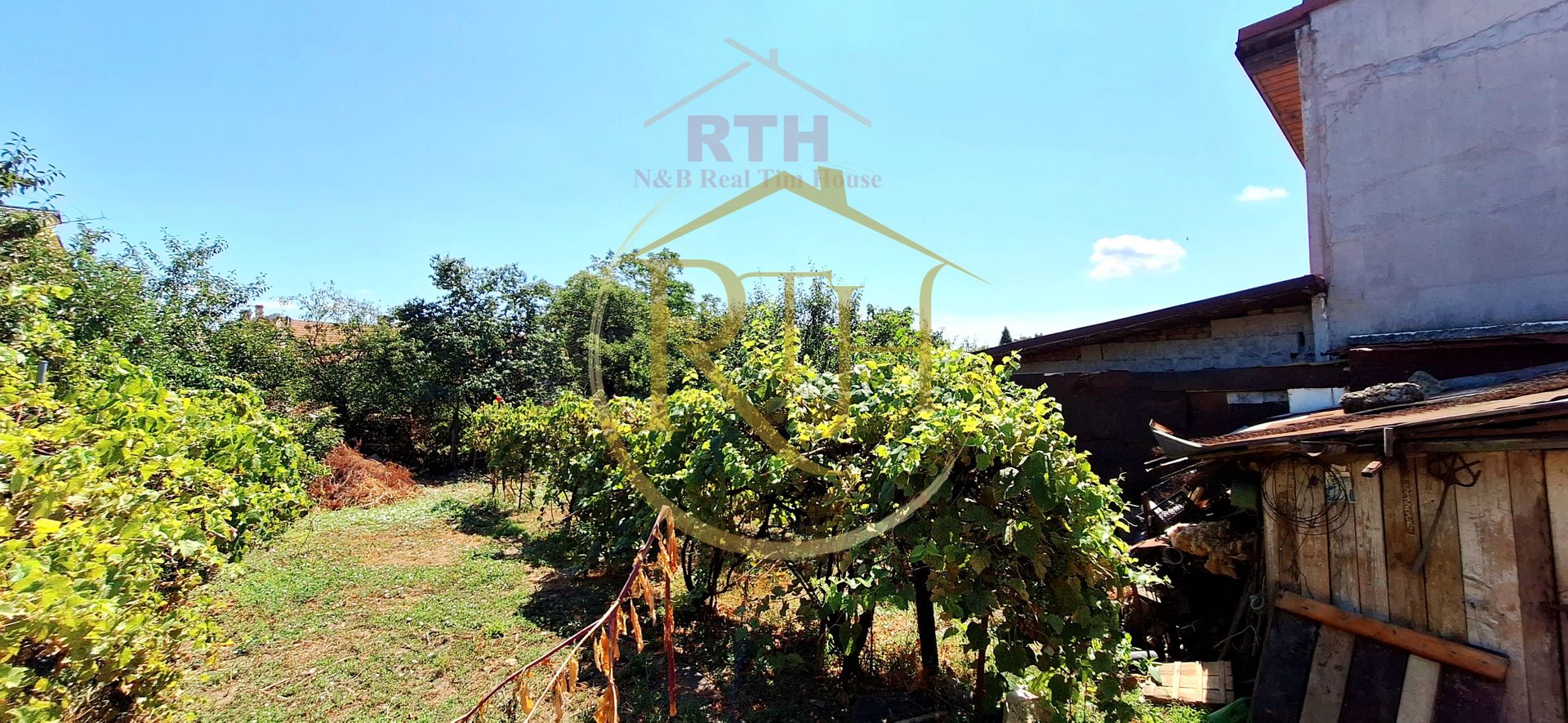 Oferim spre vanzare casa + teren, zona Sagului,  Necesita renovare - Poză 4