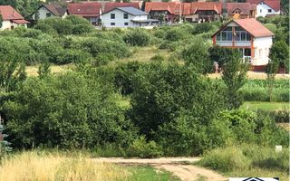 Teren intravilan de vanzare , Unirea - Poză 1
