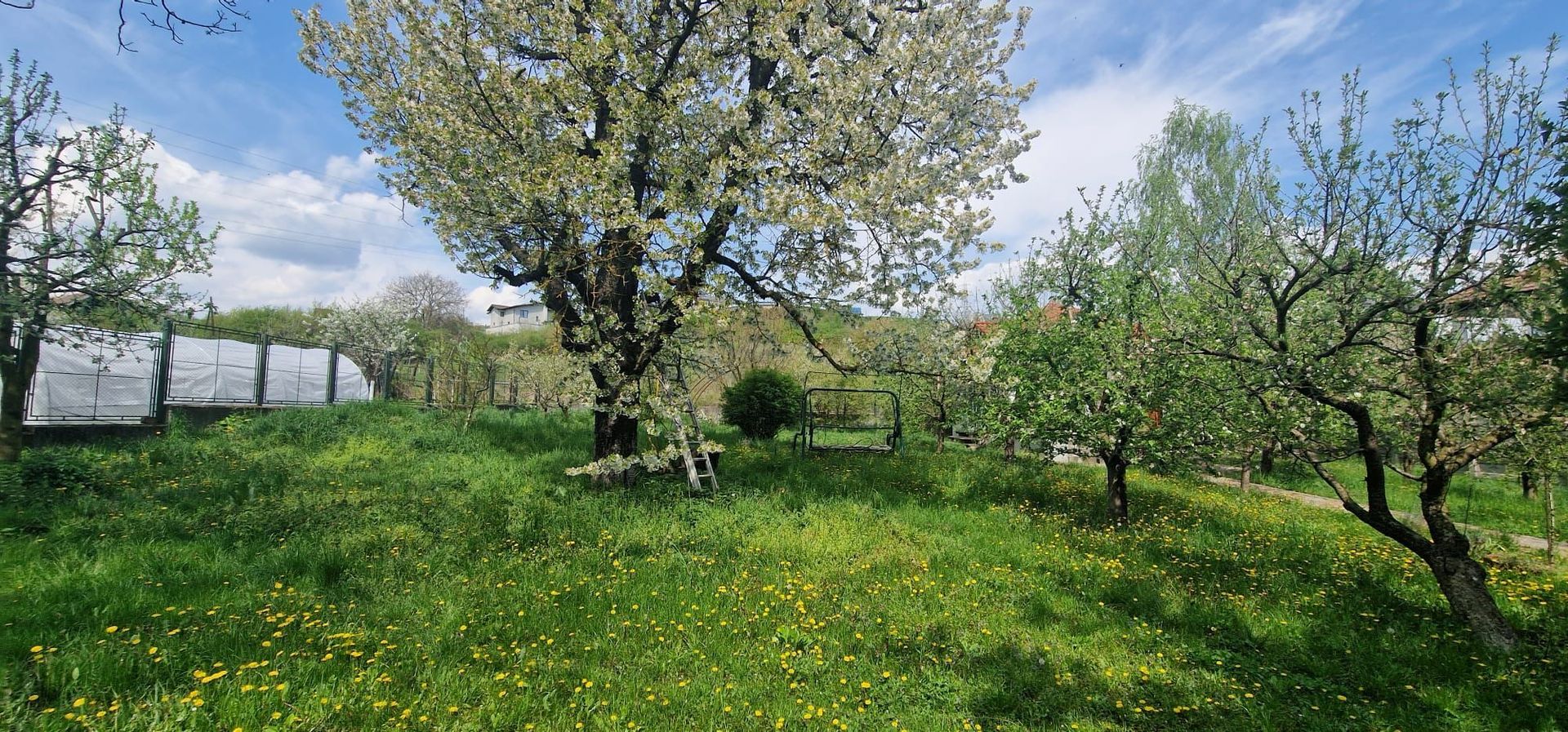 casa - 1500 mp de teren - zona rezidențială schit - Poză 11