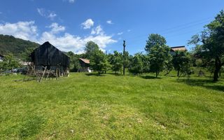 TEREN INTRAVILAN 3477 MP STOENEȘTI BĂDENI ARGEȘ - Poză 5