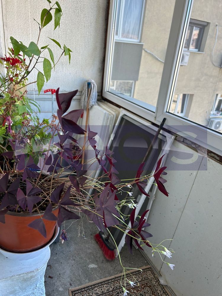 VANZARE 3 CAMERE NICOLAE GRIGRORESCU | SECTOR 3 | SALAJAN | - Poză 8