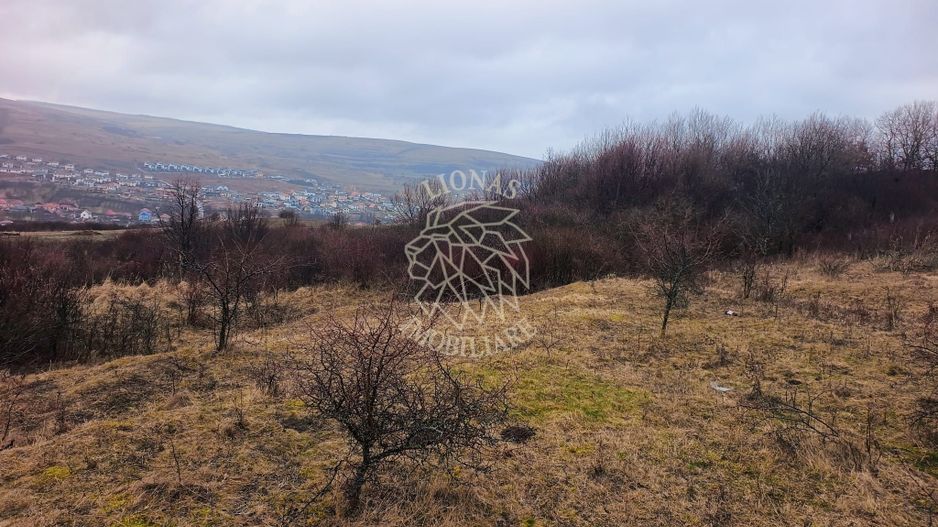 Teren de vânzare intravilan 8500 mp Chinteni Cluj oportunitate investitie - Poză 3