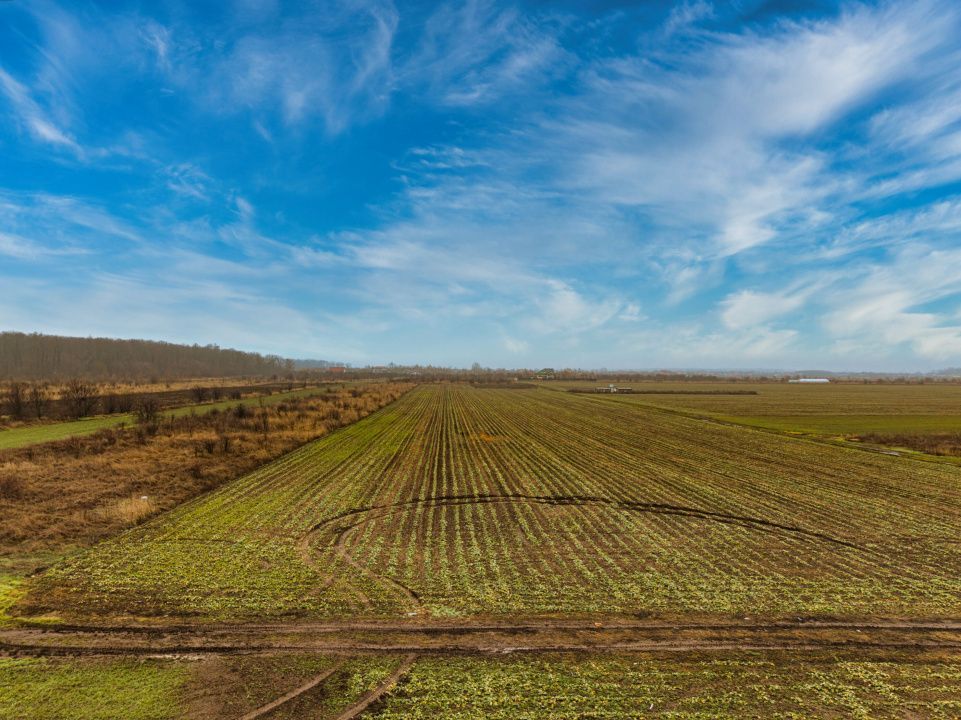 Teren intravilan 5040 mp, deschidere dubla - Poză 2