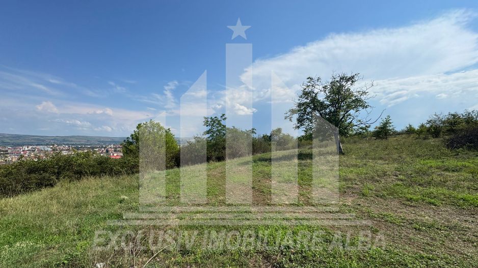 Teren intravilan de vanzare, Podei - Poză 3