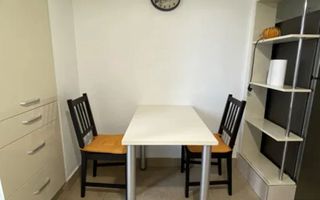 GARSONIERA P-TA ALBA IULIA, PET-FRIENDLY, BOILER, BUCATARIE INCHISA - Poză 5