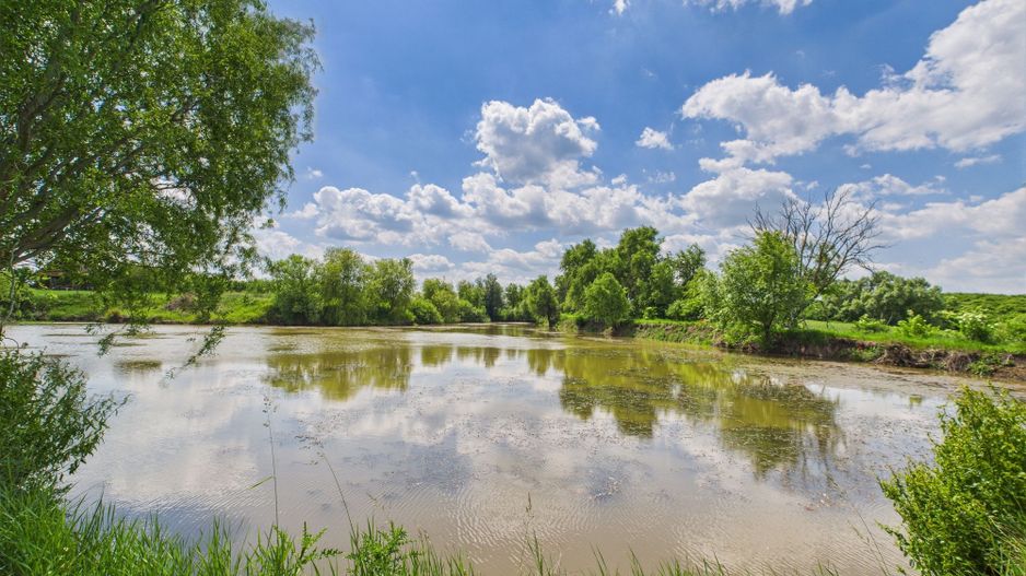 Teren cu baltă- oportunități multiple la Fibiș - Poză 27