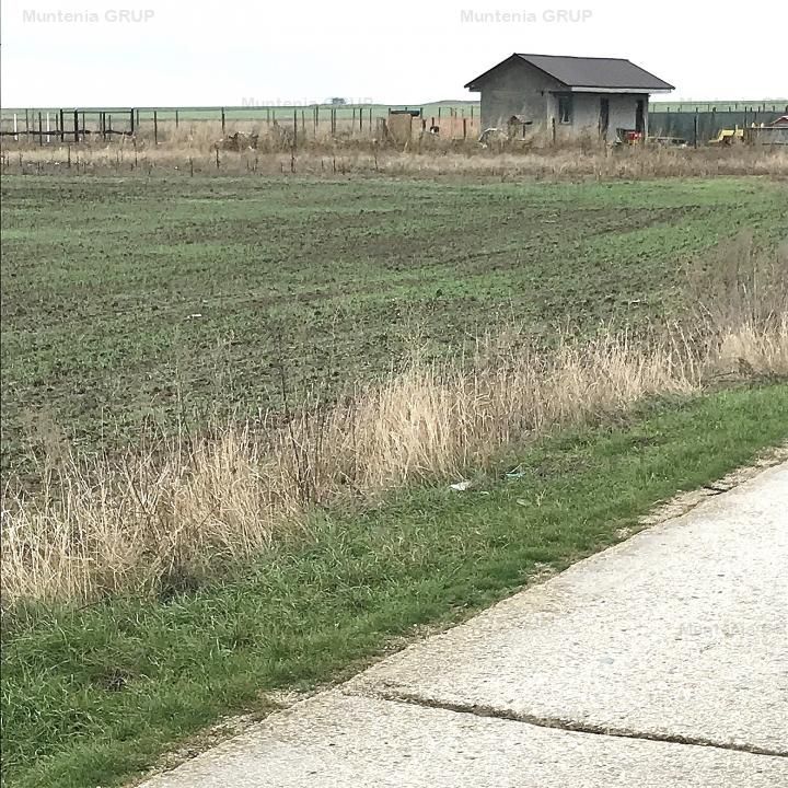 CORBU spre plaja Corbu, teren intravilan 965 mp. ideal constructii - Poză 4