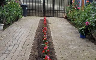 3 CAMERE Poligrafiei Jiului bloc 2006 - Poză 6