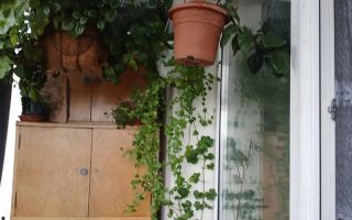 Vând apartament 2 camere Târnăveni - Poză 5