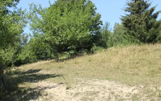 Terenuri Carpinis I parcelabil I Curent pe proprietati - Poză 71