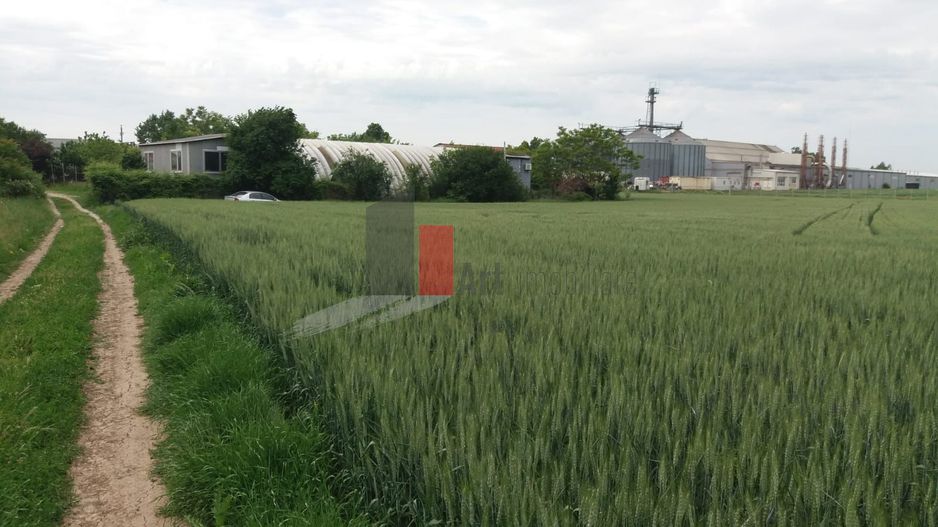 Teren cu iesire la lac - Poză 3