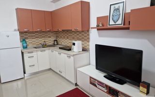 Garsonieră Copou – Studio locuibil sau spațiu de birouri, mobilat și utilat - Poză 1