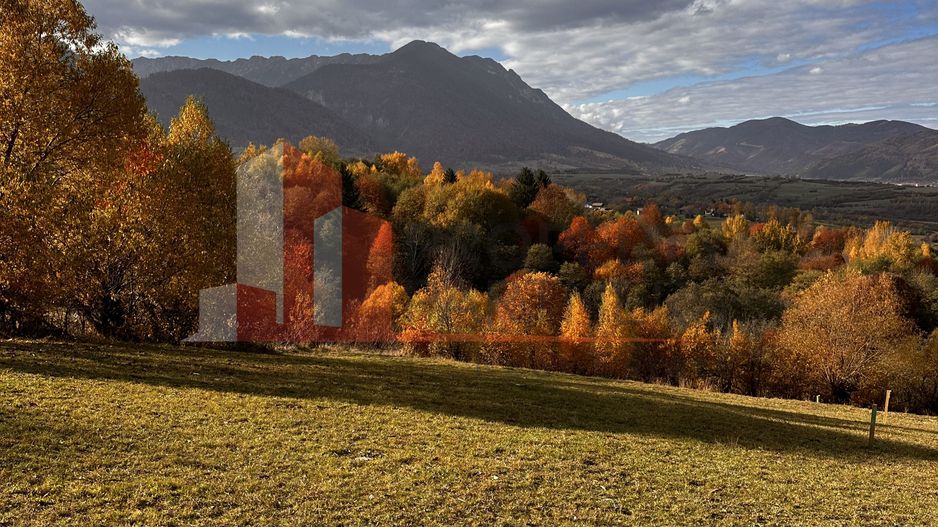 Teren intravilan 500 mp | Tohanița, Bran | Vedere  | Ideal pentru caban - Poză 1