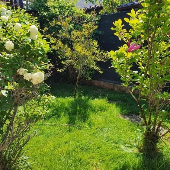 Vila Tunari, cartierul Scriitorilor, mobilata si utilata cu materiale premium - Poză 12