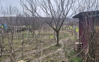 Casa cu teren 4000 mp in Bogei, Bihor - Poză 5