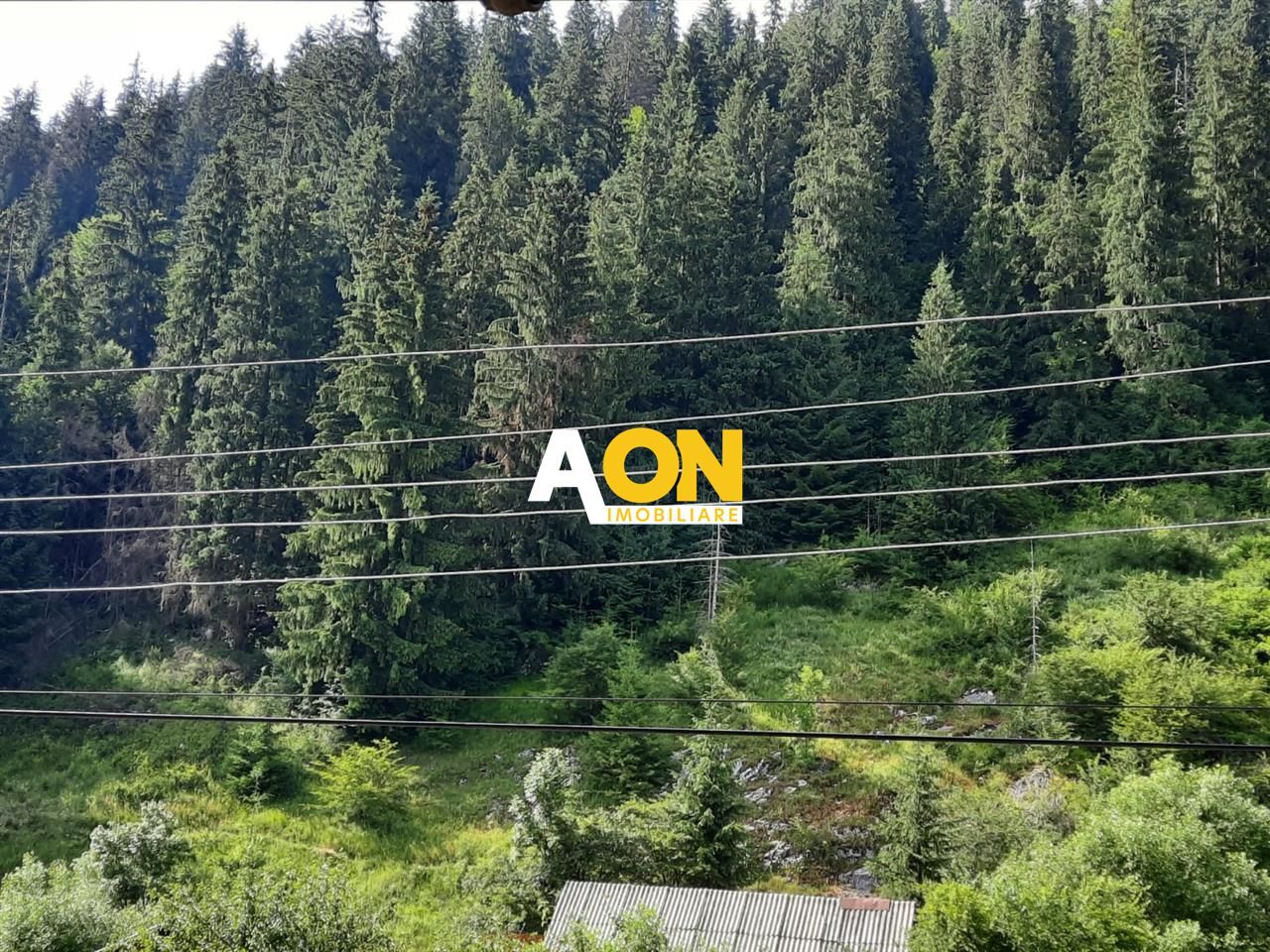 Pensiune in Muntii Apuseni 10 camere 1007 mp teren - Poză 17