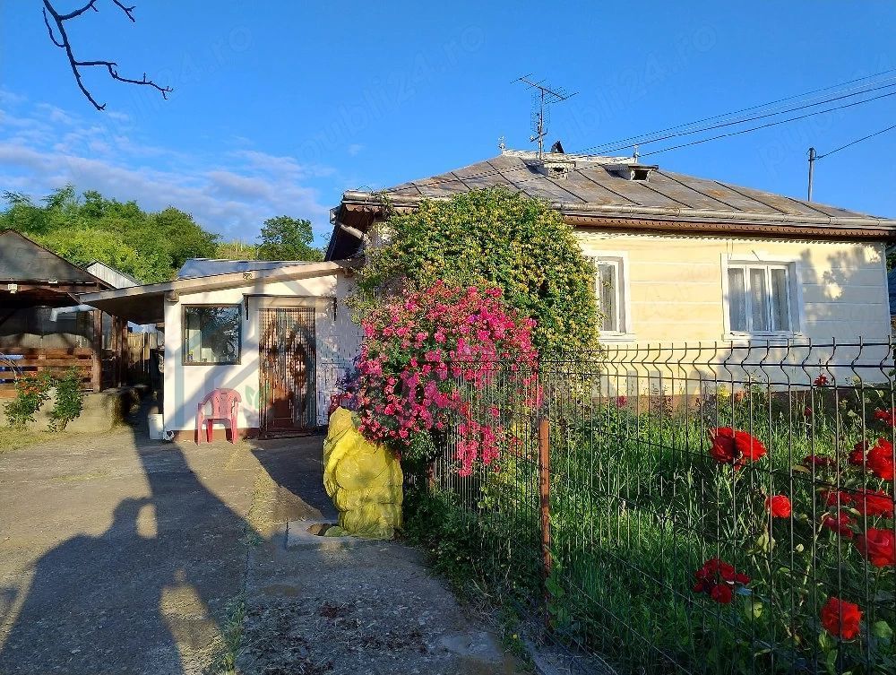 Casă cu teren în Deleni, Iași - Stradă principală - Poză 1