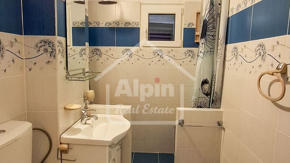 Suprafata Generoasa I Zona Gemenii - Poză 26