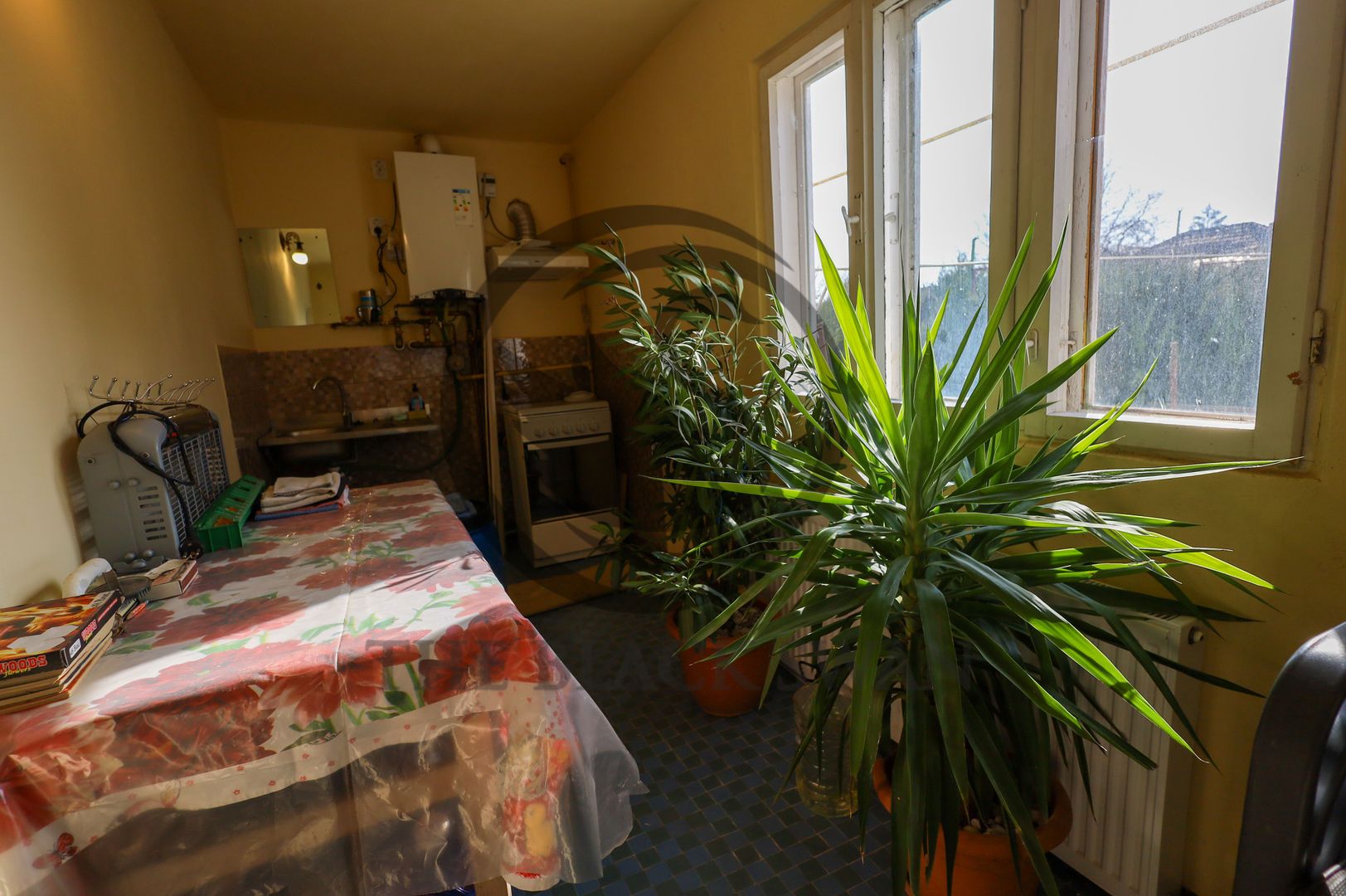 Proprietate cu 2 constructii | Valea Calugareasca | COMISION 0% - Poză 22