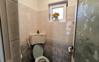 VIILE NOI - casa cu o curte generoasa disponibila imediat - Poză 13