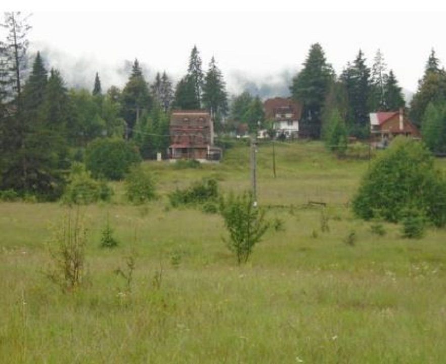 Teren Timisu de Sus - Poză 3