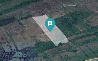 Teren arabil de 11,3 hectare în Bara, Timiș - Poză 1