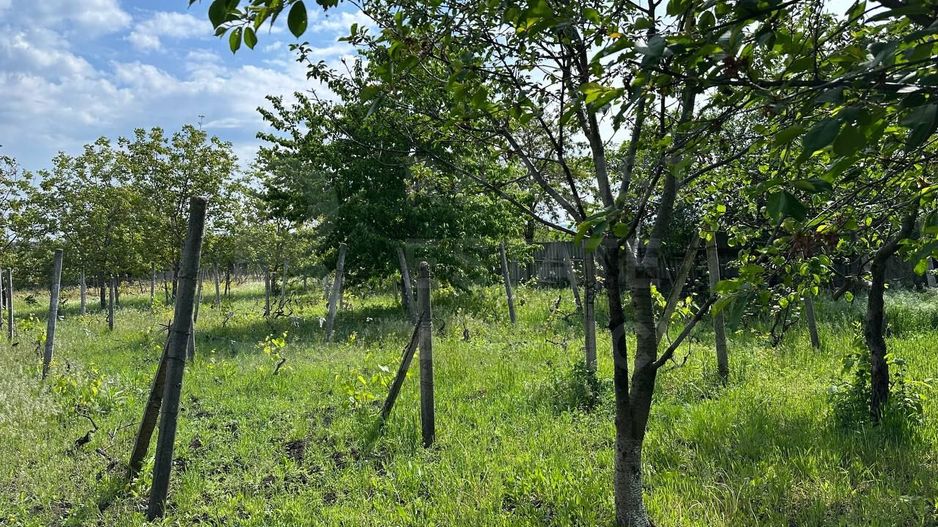 Vânzare, casă,115 mp + 18 ari, sat Corlăteni, Rîșcani - Poză 19