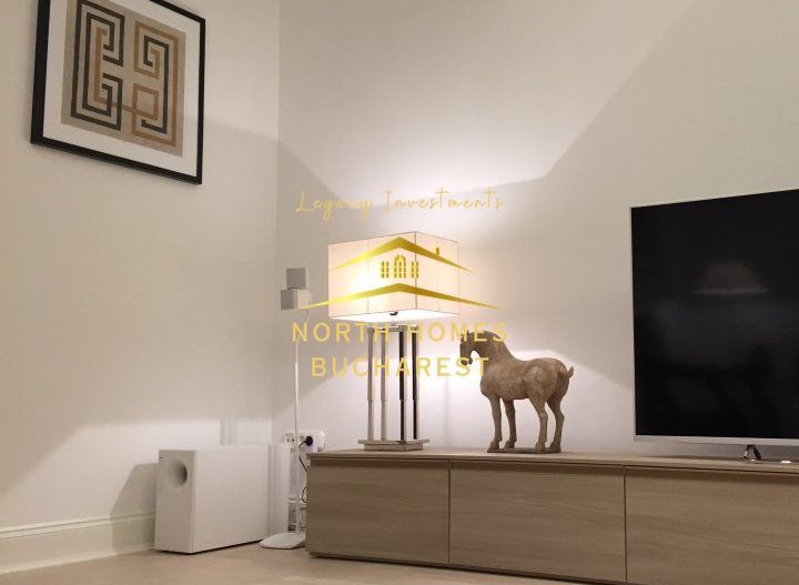 Apartament tip duplex in zona Capitale,  221mp: parter + demisol - Poză 5