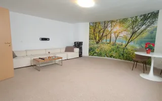 Casă de închiriat 4 camere | Sibiu Trei Stejari | 260 mp, garaj - Poză 14