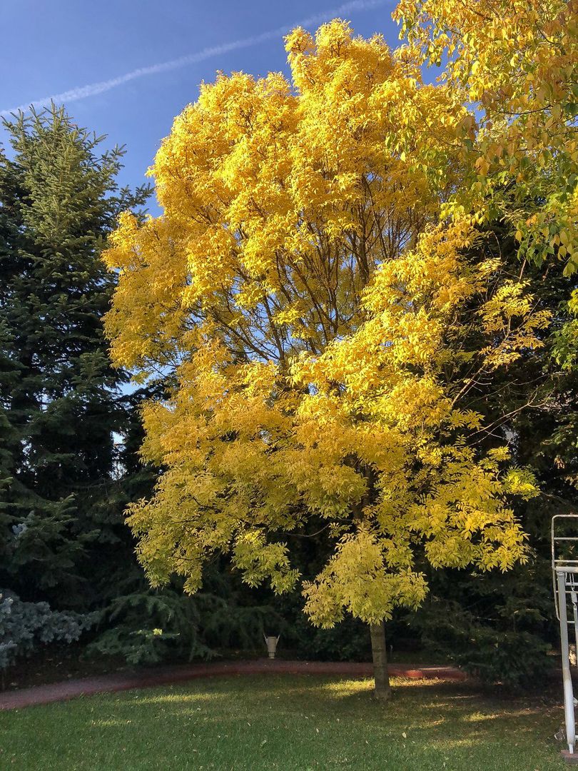 PROPRIETATE CU ENERGIE PURA |  Sanctuarul Eleganței și Rafinamentului - Poză 25