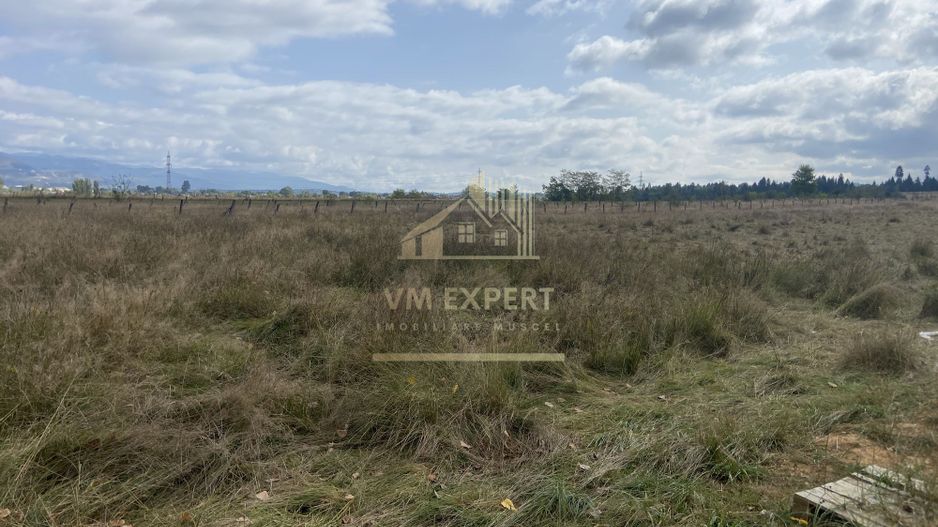 TEREN INTRAVILAN 5000 MP, GRUI, CAMPULUNG - Poză 2