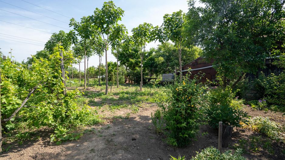CASA DE VANZARE EPISCOPIA 1450 MP TEREN - Poză 10