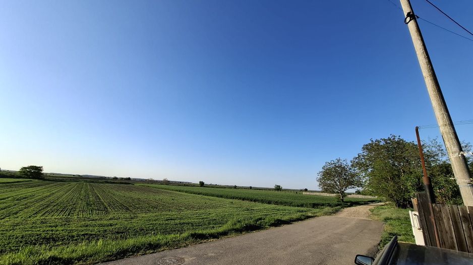 DÂRZA - TEREN INTRAVILAN - Poză 2