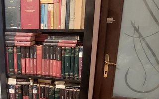 Alexandru Obregia - Poză 4