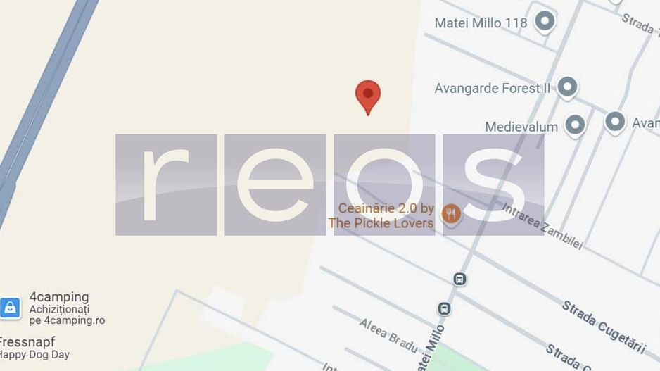 TEREN DE VANZARE| MATEI MILLO | 481 MP | FRONT 19 MP | OPORTUNITATE | - Poză 3