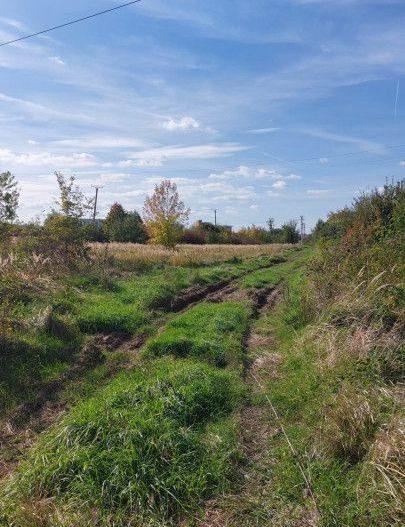 Vanzare teren industrial, zona Vama - Arpechim - Poză 2