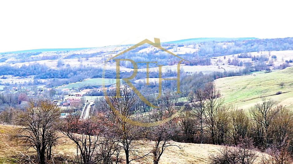 Terenuri extravilane de vânzare – Vizma & Crivobara, comuna Secaș, jud. Timiș - Poză 5