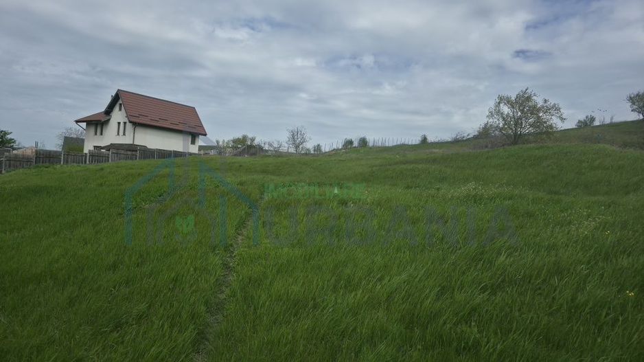 Teren de vânzare în Bogonos, Iași – 6.500 mp cu utilități - Poză 3