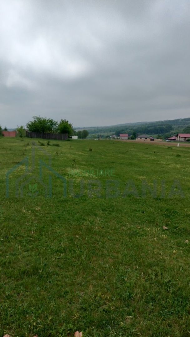Teren intravilan 7.200 m2, Bordea, Grajduri, ideal case/ investitie - Poză 3