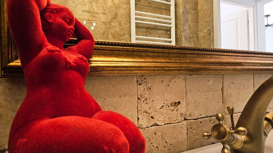 Apartament 2 Camere Piata Victoriei | Doctor Iacob Felix | - Poză 7
