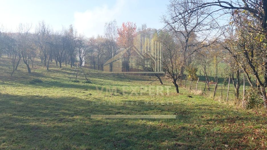 TEREN INTRAVILAN 3000 MP, CAMPULUNG - Poză 2