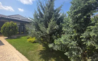 BUCIUM VILA 5 CAMERE 193MP  TEREN 1700MP - Poză 28