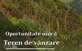 Oportunitate deosebita! Teren 4000 mp, intravilan, Sanpaul - Poză 1