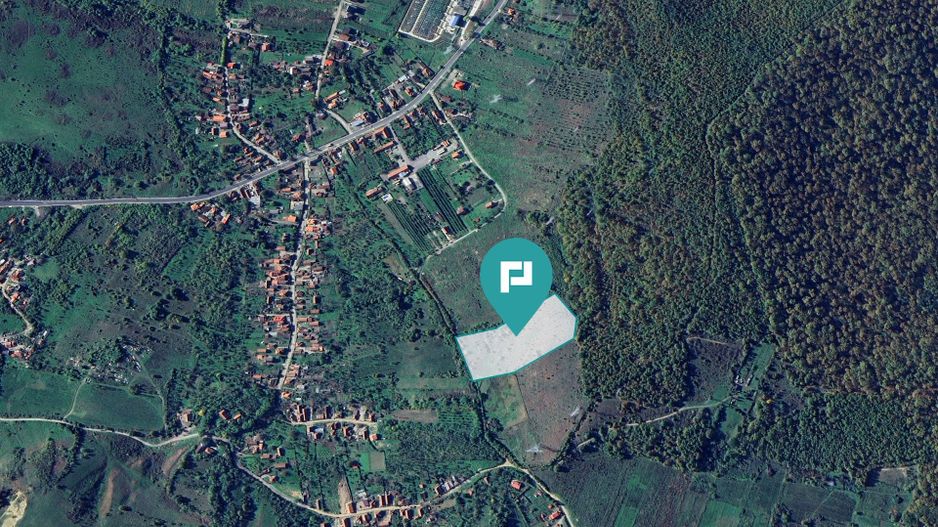 Teren fâneaţă lângă pădure - Hunedoara - Poză 2